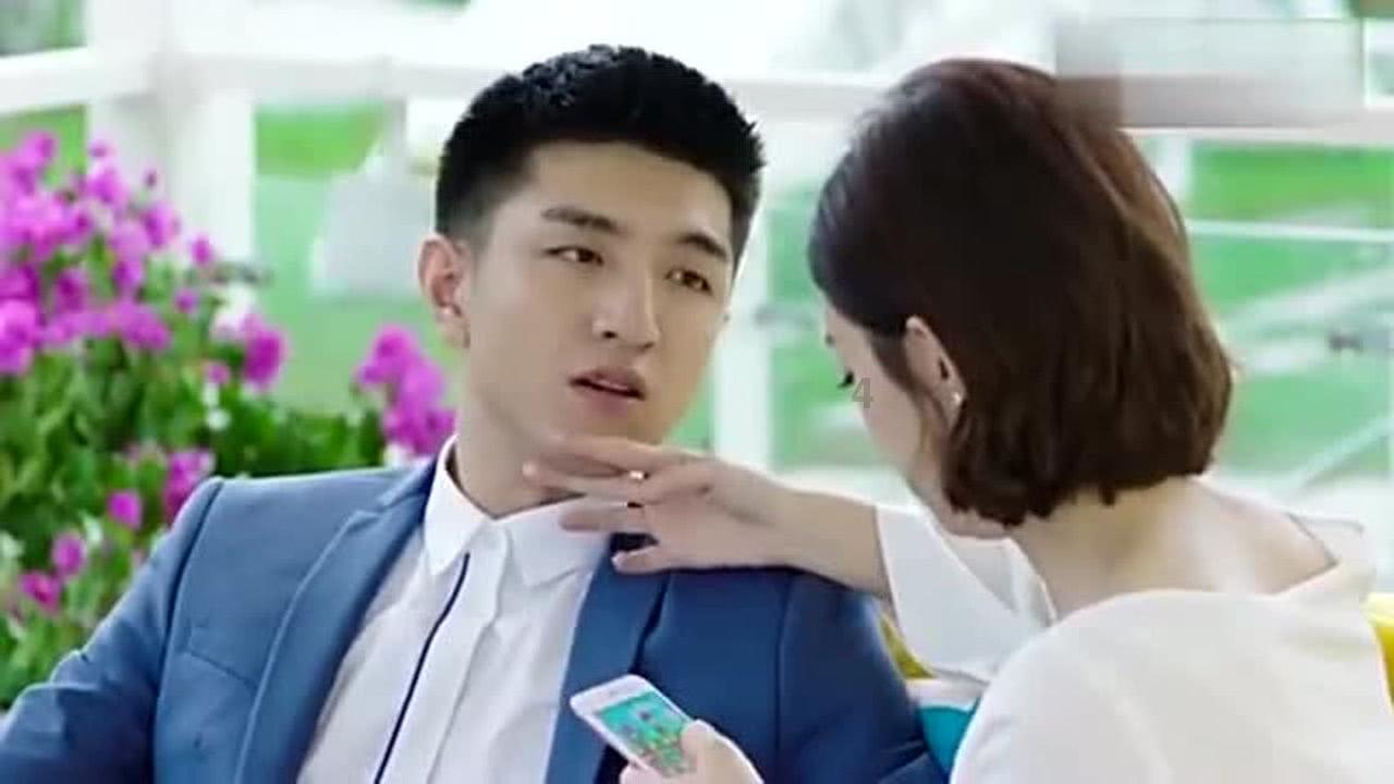 破碎的动物图形